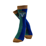 Load image into Gallery viewer, York United FC Socks
