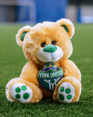 York United Teddy